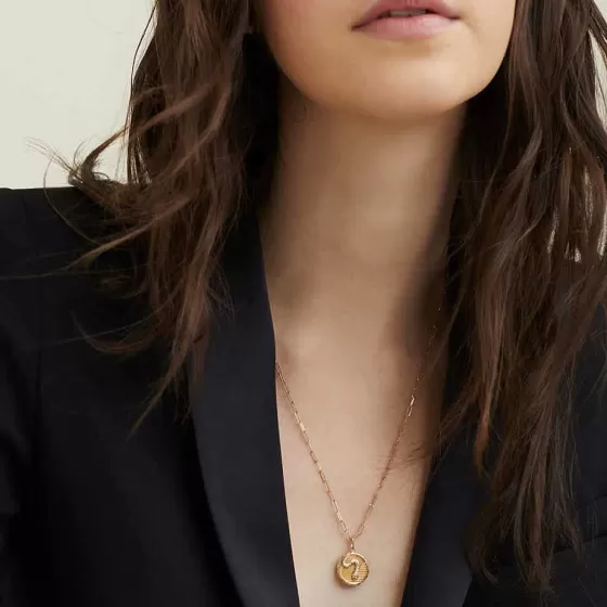 Clearance Transformation: Serpent Coin Charm Pendant Necklaces
