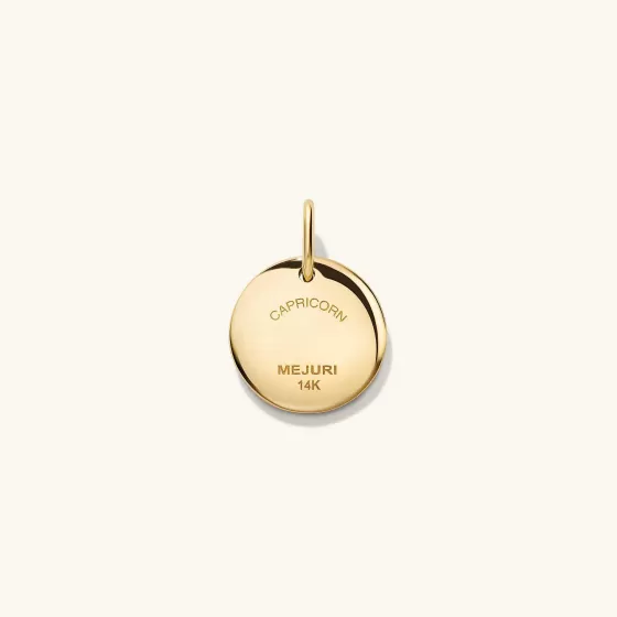 Shop Zodiac Charm Pendant Necklaces